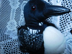 loon view